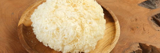 The Ancient Secrets of the Tremella Mushroom