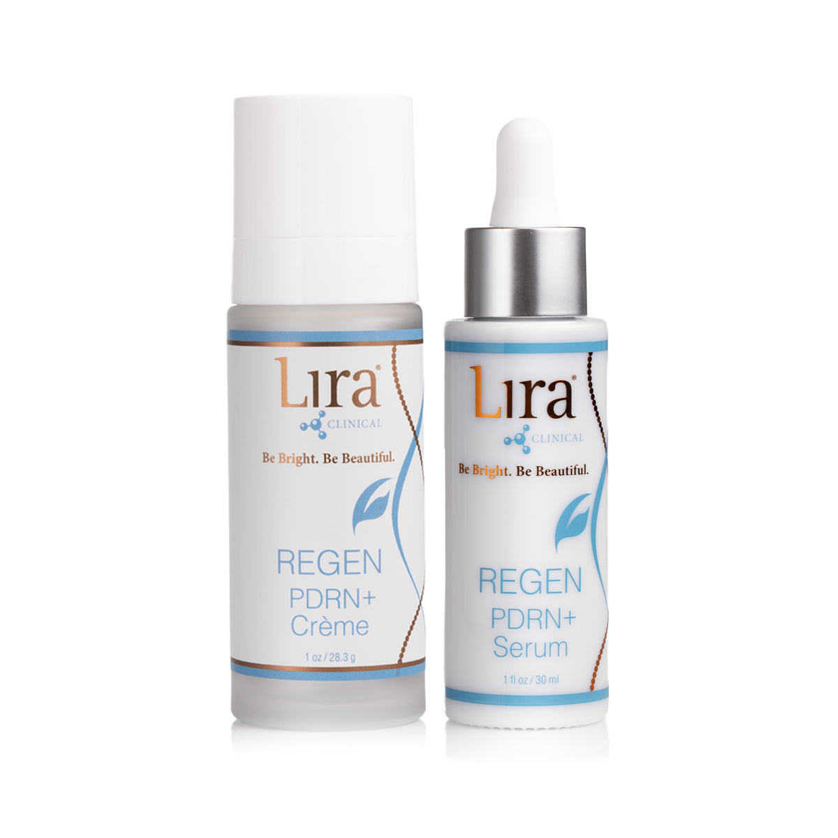 REGEN Holiday Gift Box 2026